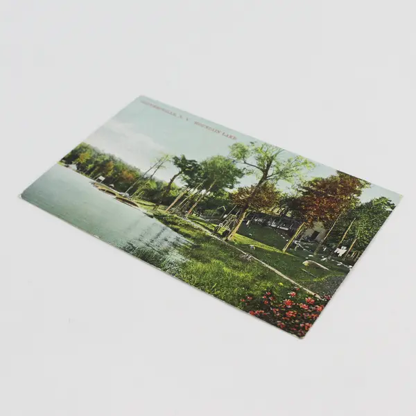 Vintage Mountain Lake Gloversville New York Litho Postcard CS Woolworth 1910s
