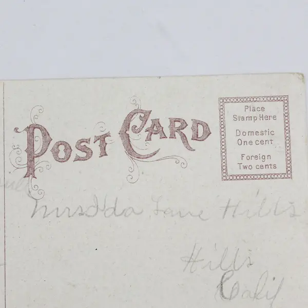 Vintage Mountain Lake Gloversville New York Litho Postcard CS Woolworth 1910s