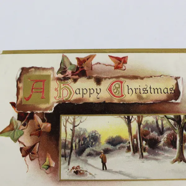 1911 A Happy Christmas Snowy Scene Embossed Postcard Davidson Bros