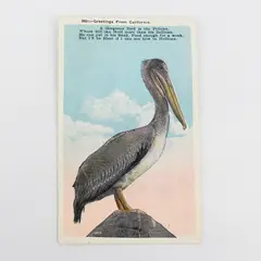 Vintage Greetings From California Pelican Poem Color Litho Postcard 