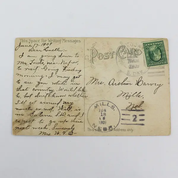 Vintage 1909 Gregory South Dakota Rose Bouquet Embossed Greeting Postcard