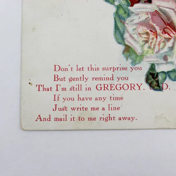 Vintage 1909 Gregory South Dakota Rose Bouquet Embossed Greeting Postcard