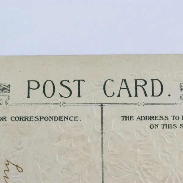 Vintage A Happy Birthday Violets Embossed Postcard John Winsch 1918