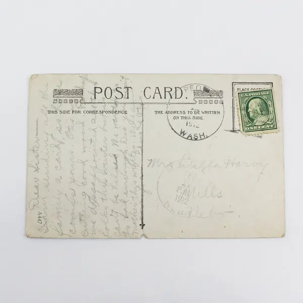 Vintage Ties Of Friendship Woven Strong Rose Postcard 1912