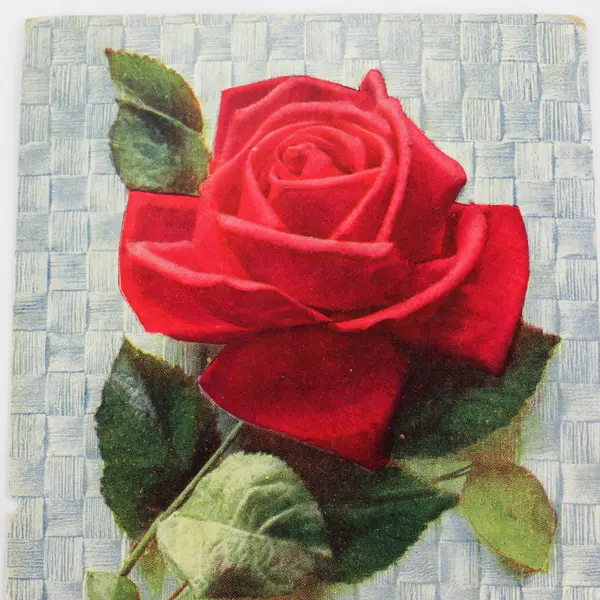 Vintage Ties Of Friendship Woven Strong Rose Postcard 1912