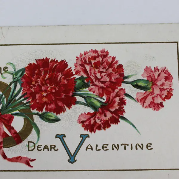 Vintage Think Of Me Dear Valentine Carnations Postcard 1914