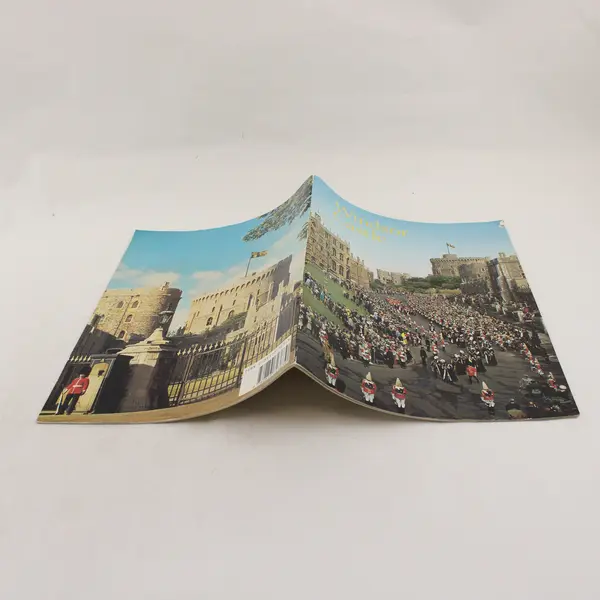 Windsor Castle by Robin Mackworth-Young Paperback Book