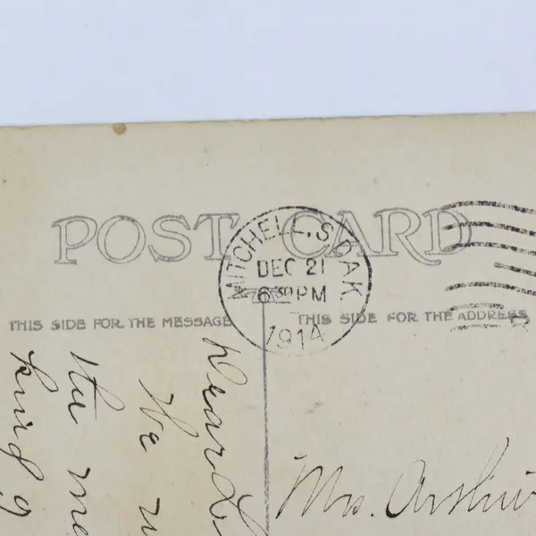Vintage To Greet You Violets & Landscape Greetings Card Postcard 1914
