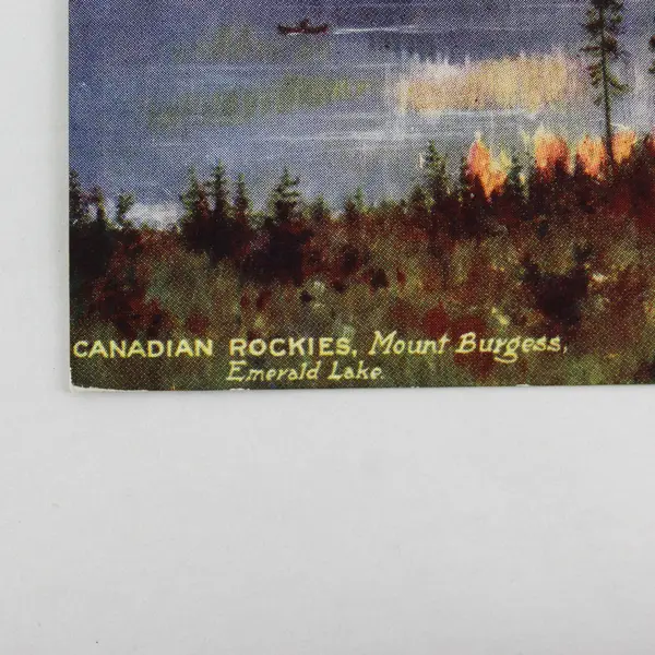 Canadian Rockies Mount Burgess Emerald Lake Painting Litho Postcard Tuck & Sons