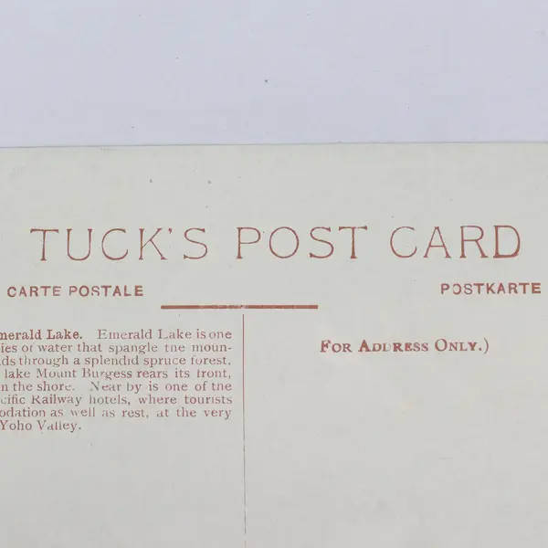 Canadian Rockies Mount Burgess Emerald Lake Painting Litho Postcard Tuck & Sons