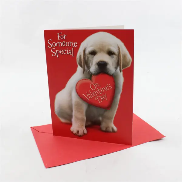 Lot of 4 Valentines Day Greeting Cards with Envelopes UNUSED