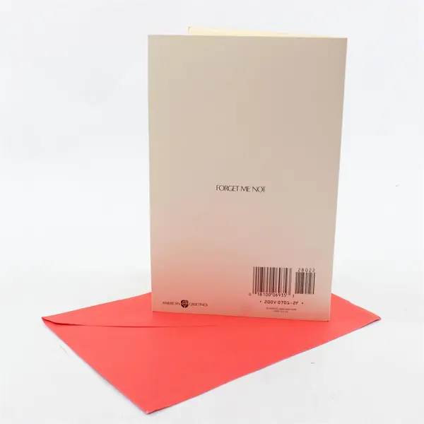 Lot of 4 Valentines Day Greeting Cards with Envelopes UNUSED