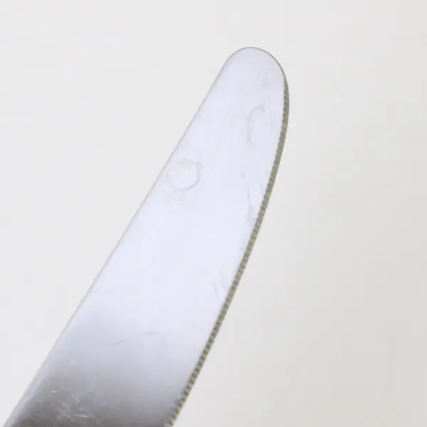 Lot of 4 Oneida Camber Cresta Windswept Scroll Pattern SS Dinner Knives 9.5"