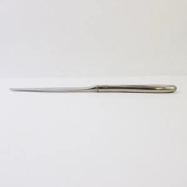 Lot of 4 Oneida Camber Cresta Windswept Scroll Pattern SS Dinner Knives 9.5"