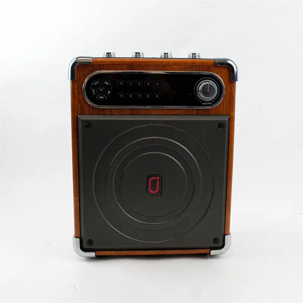 Jyx-S55 Portable Karaoke Machine Speaker Missing Accessories Untested