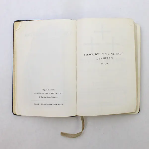 Die Katholische Frau in ihrem Gebetsleben / The Catholic Woman - Rupert Storr