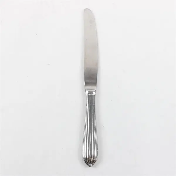 Retroneu Alexandria Dinner Knife 9.5" Stainless Steel