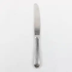 Retroneu Alexandria Dinner Knife 9.5" Stainless Steel