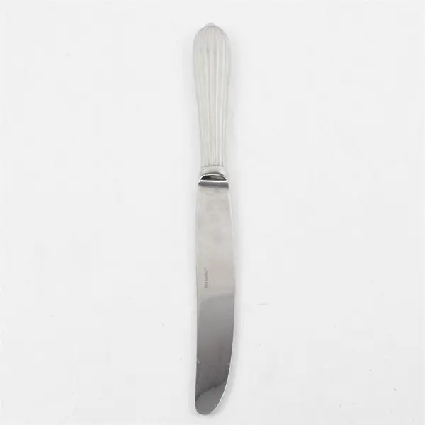 Retroneu Alexandria Dinner Knife 9.5" Stainless Steel