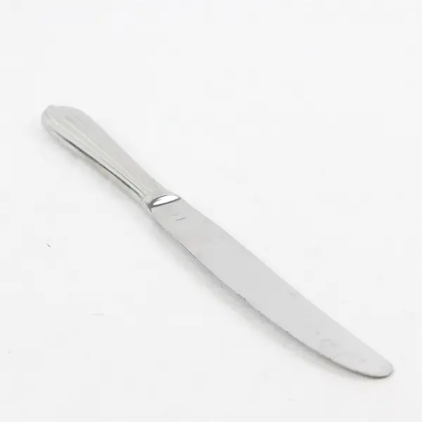 Retroneu Alexandria Dinner Knife 9.5" Stainless Steel