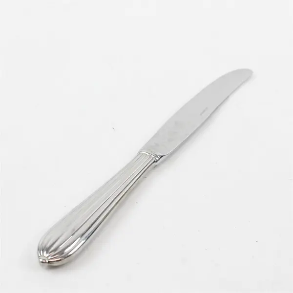 Retroneu Alexandria Dinner Knife 9.5" Stainless Steel