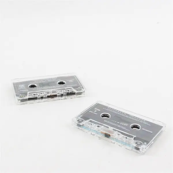 Lot of 2 Cassette Tapes Elizabeth Walczyk Xmas Oregon; Tom Chapin Mother Earth