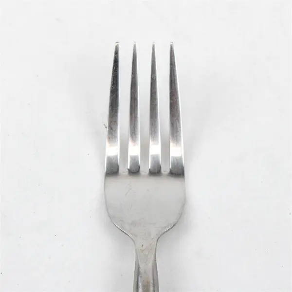 Walco Dinner Fork in the Pattern Twig