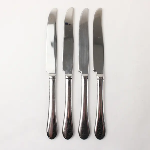 Lot of 4 Image by Spode Stainless Dinner Knives
