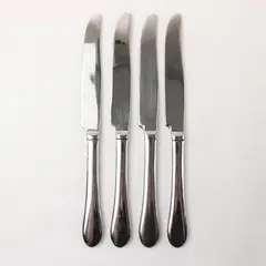 Lot of 4 Image by Spode Stainless Dinner Knives