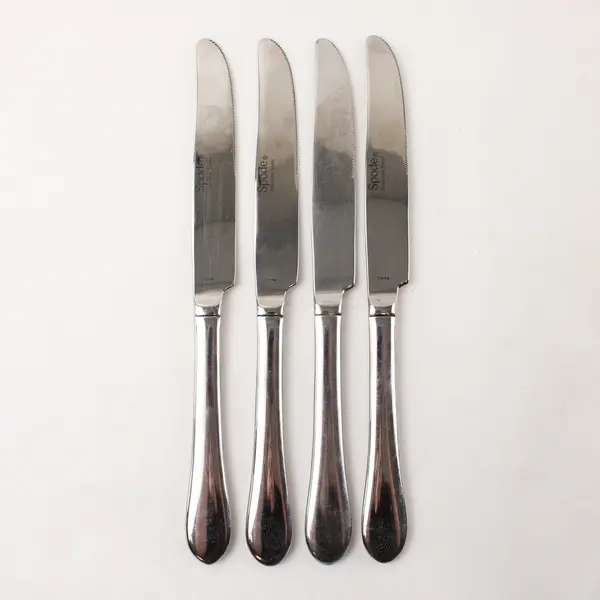 Lot of 4 Image by Spode Stainless Dinner Knives