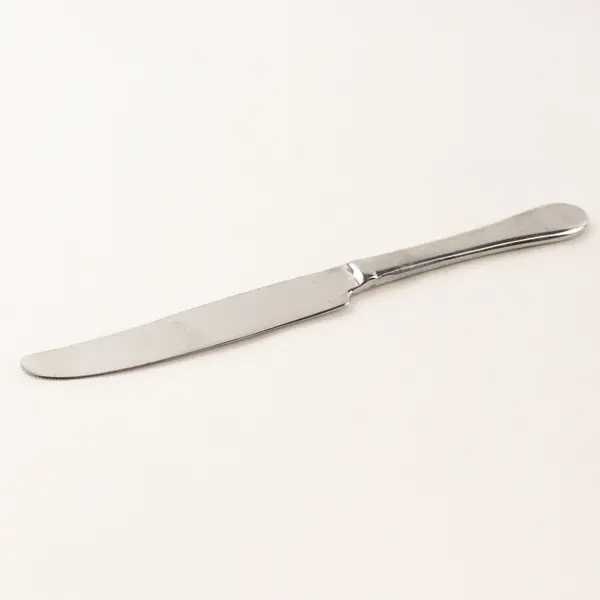 Lot of 4 Image by Spode Stainless Dinner Knives
