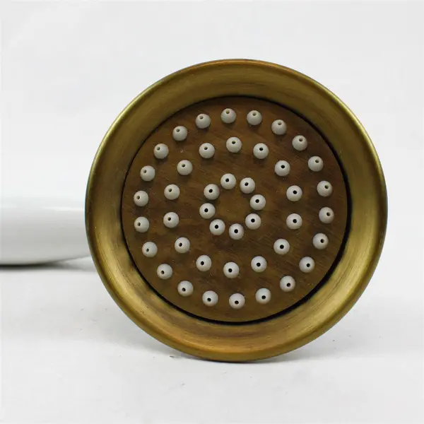 Vintage-Style Brushed Gold Handheld Shower Flexible Stainless Steel Hose
