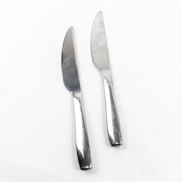 Lot of Two Veil Dinner Knives by Gourmet Settings