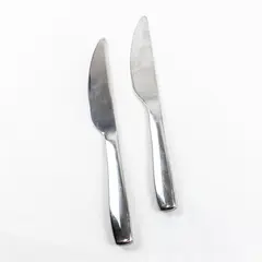 Lot of Two Veil Dinner Knives by Gourmet Settings