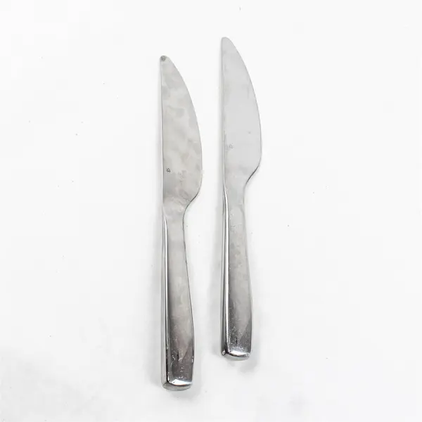 Lot of Two Veil Dinner Knives by Gourmet Settings