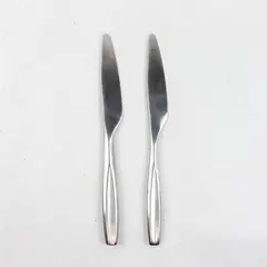 Set of  two GON10 Stainless Dinner Knives by Gourmet Settings