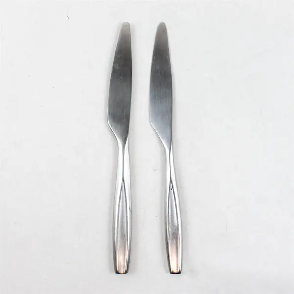 Set of  two GON10 Stainless Dinner Knives by Gourmet Settings