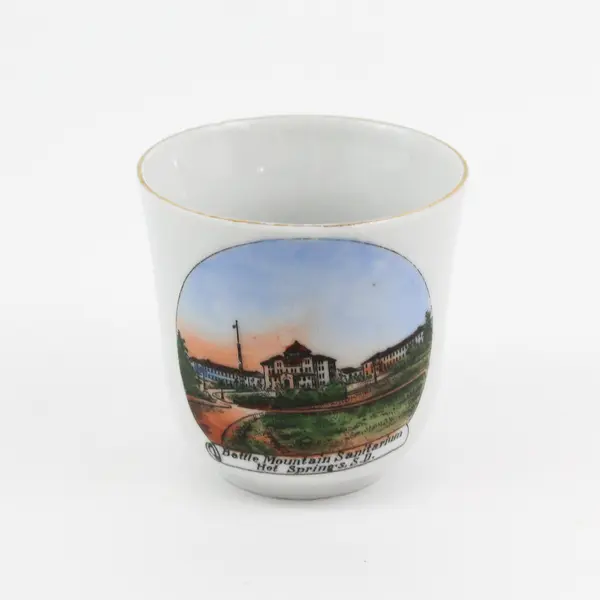 Hand Painted Jonroth Studios Battle Mountain Sanitarium  Hot Springs S.D. Cup