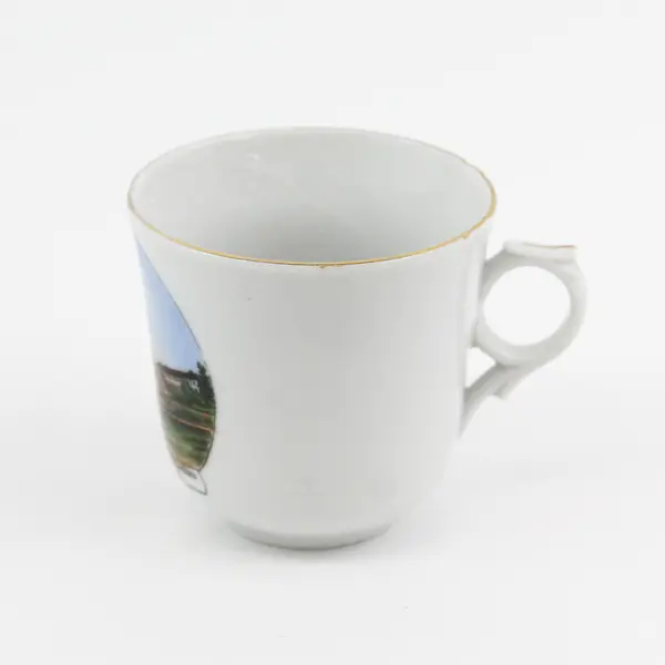 Hand Painted Jonroth Studios Battle Mountain Sanitarium  Hot Springs S.D. Cup