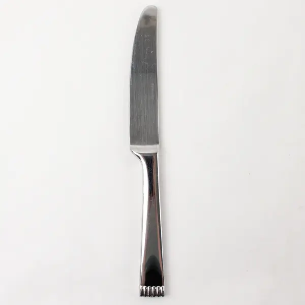 Retroneu Cobble Stainless Steel 9" Dinner Knife