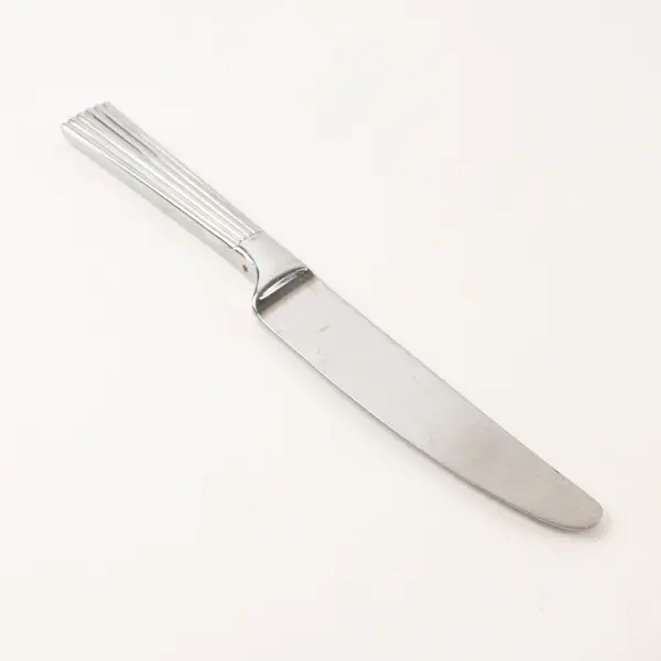 Retroneu Cobble Stainless Steel 9" Dinner Knife