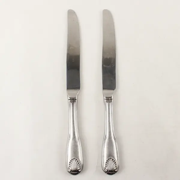 Lot of 2 Retroneu Coventry Shell Stainless Steel Dinner Knives 9.5"