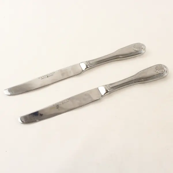 Lot of 2 Retroneu Coventry Shell Stainless Steel Dinner Knives 9.5"