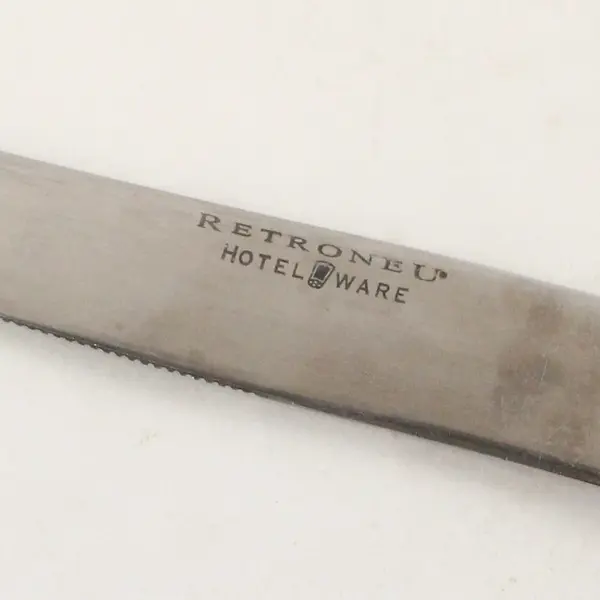 Lot of 2 Retroneu Coventry Shell Stainless Steel Dinner Knives 9.5"