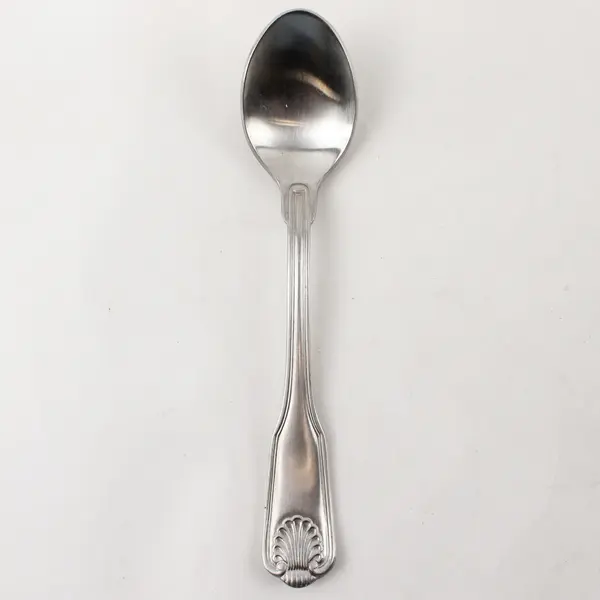 Retroneu Coventry Shell Stainless Steel Teaspoon 6.5"