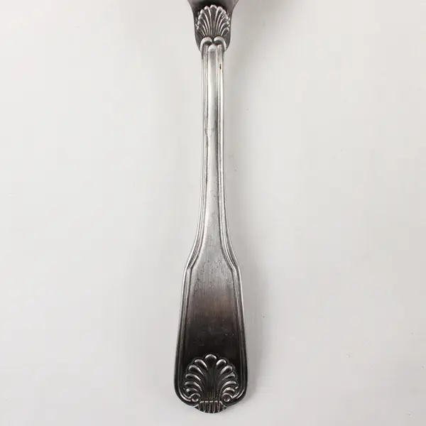 Retroneu Coventry Shell Stainless Steel Teaspoon 6.5"