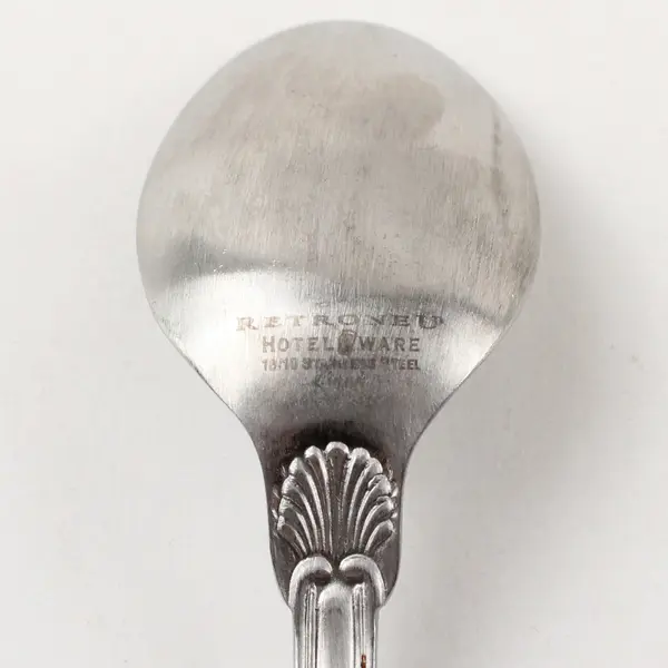 Retroneu Coventry Shell Stainless Steel Teaspoon 6.5"