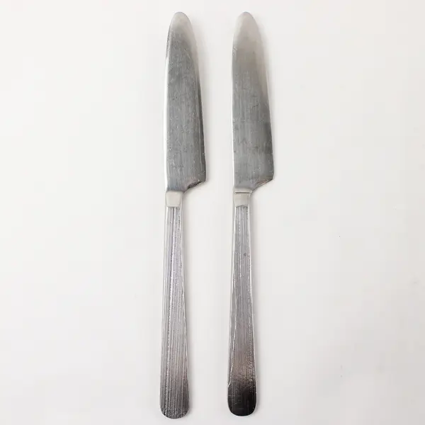 Lot of 2 Retroneu Foliage Stainless Steel 9" Dinner Knives