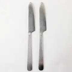 Lot of 2 Retroneu Foliage Stainless Steel 9" Dinner Knives