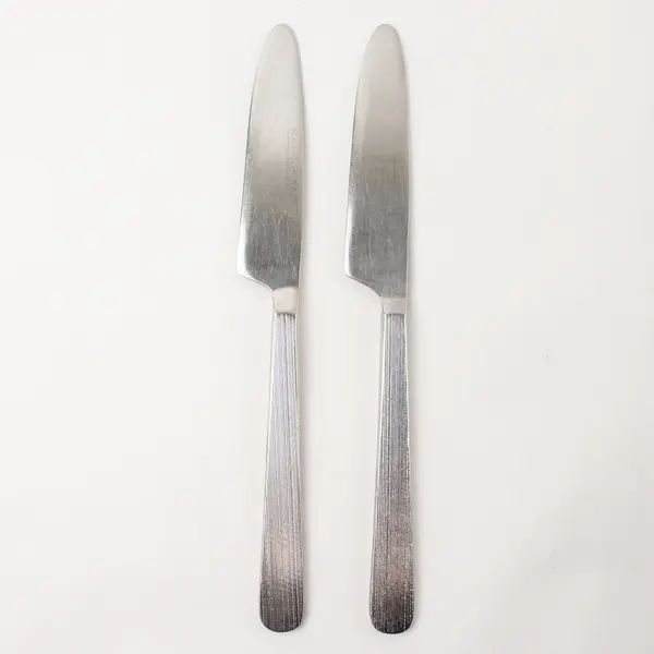 Lot of 2 Retroneu Foliage Stainless Steel 9" Dinner Knives